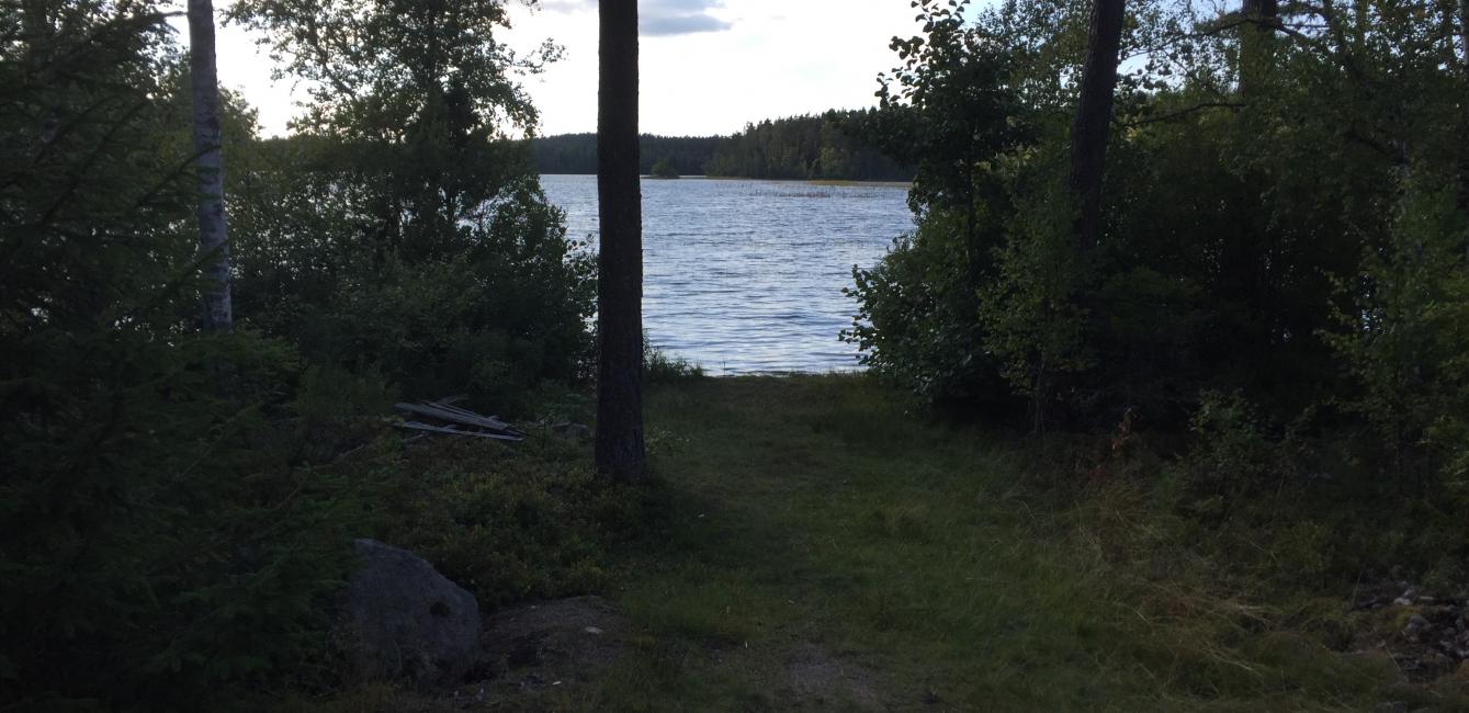 Hitta de små badsjöarna i skogen runt Vimmerby, nära Björkbackens hotell, camping och stugby. 