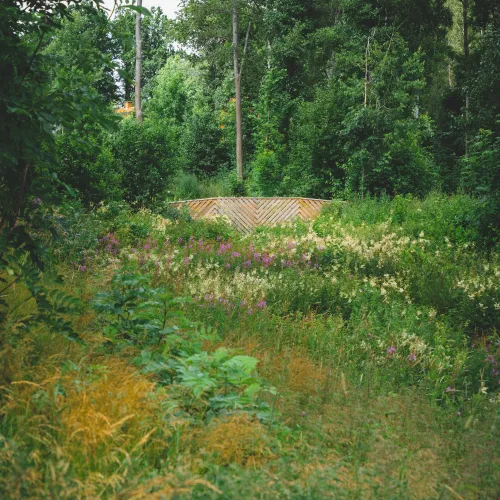 Grönska på Björkbackens område