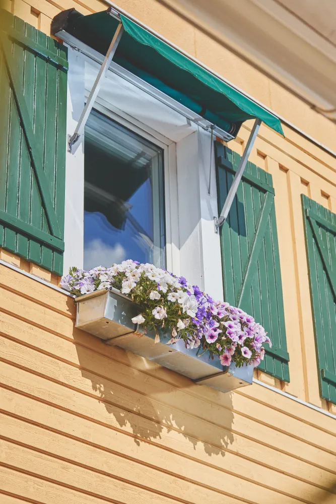 Fönster med blommor på Karaktärshotellet