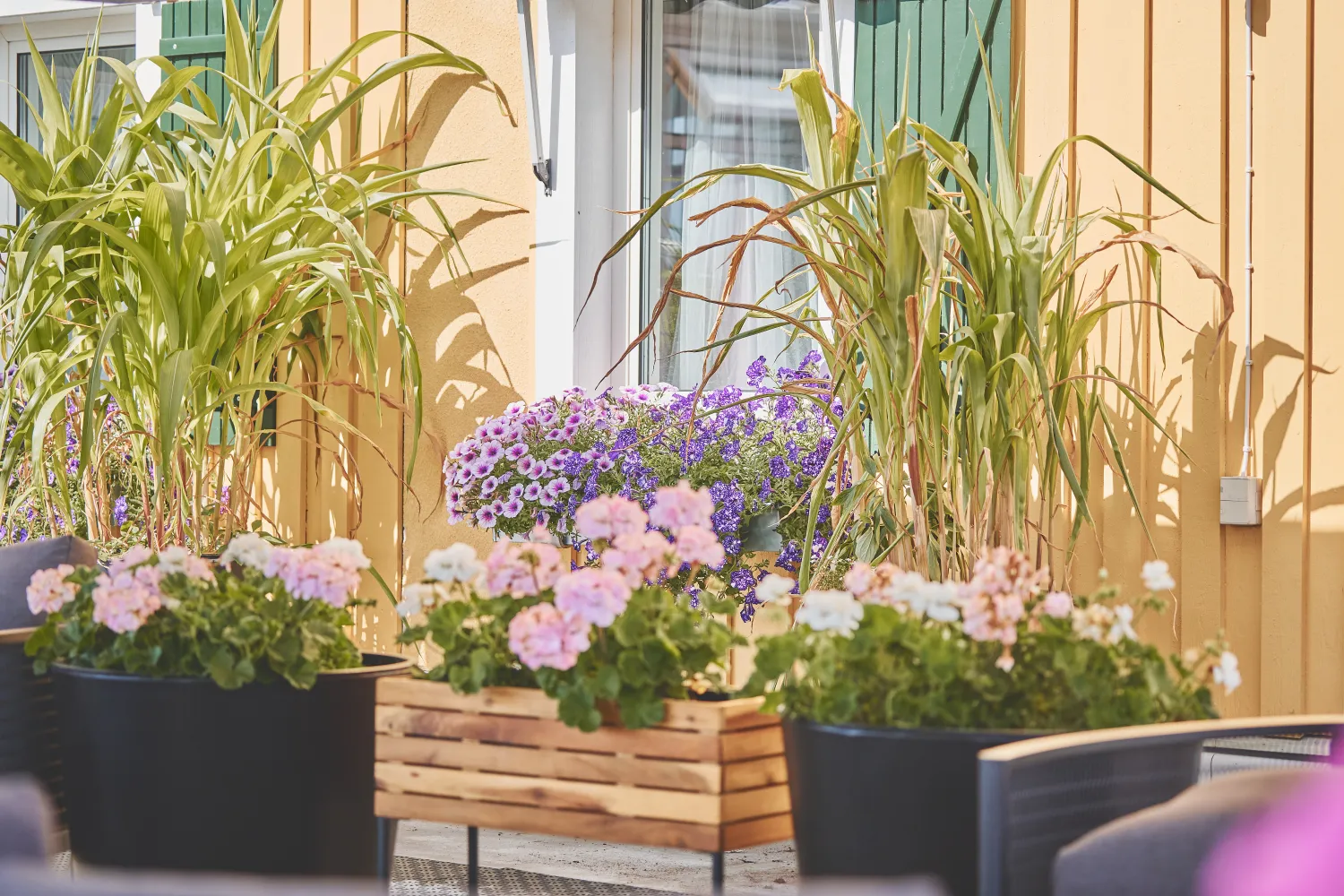Fönster med blommor på Karaktärshotellet