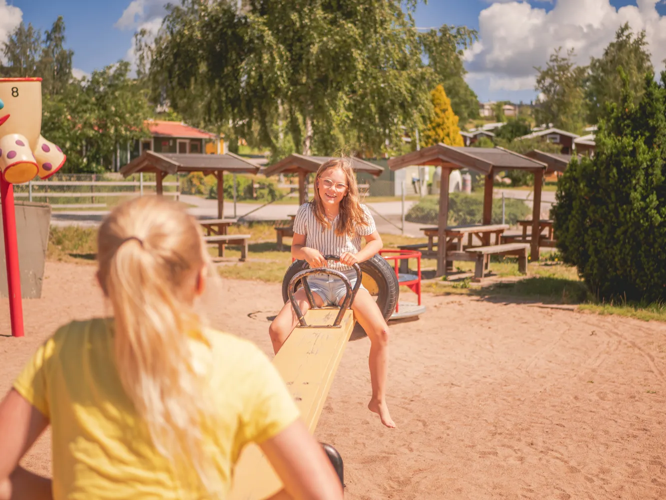 Lek på Björkbackens område