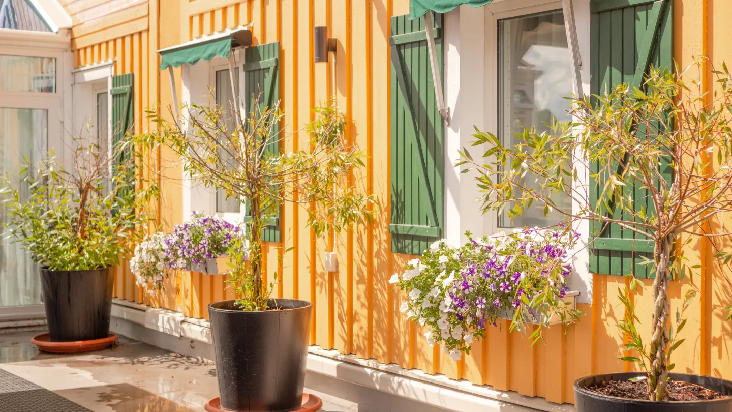 Fönster med blommor på Karaktärshotellet